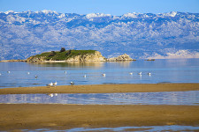 Rajska plaža, ostrov Rab